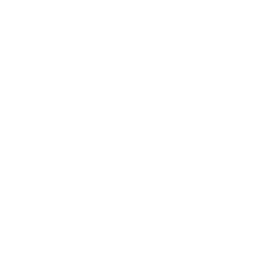 Xurpas-Enterprise-Logo-Vertical-White